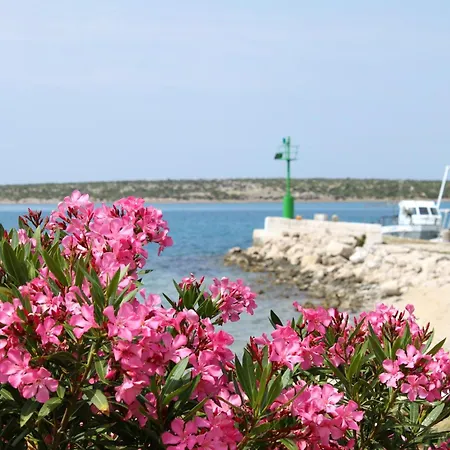 別荘 Secluded House With A Swimming Pool Kosljun, Pag - 22238 *