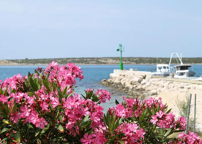 Vikendica Secluded House With A Swimming Pool Kosljun, Pag - 22238 *